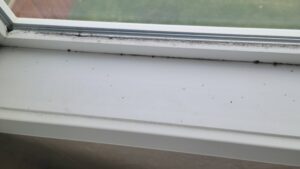 Dusty window sill with dirt along the frame and a dirty, blurred outdoor view beyond the glass